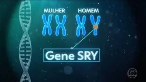 Representação ilustrativa dos cromossomos XX e XY com destaque para o gene SRY, associado ao desenvolvimento sexual masculino.